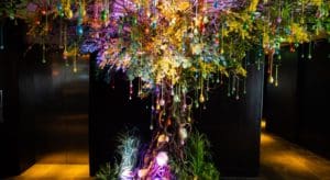 The Easter tree at South Place Hotel