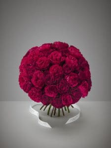 Fairtrade Flowers and Lavender Green