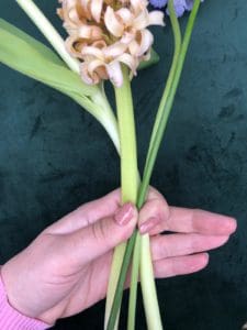 Spiral the stems