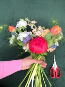 Displaying the blooms